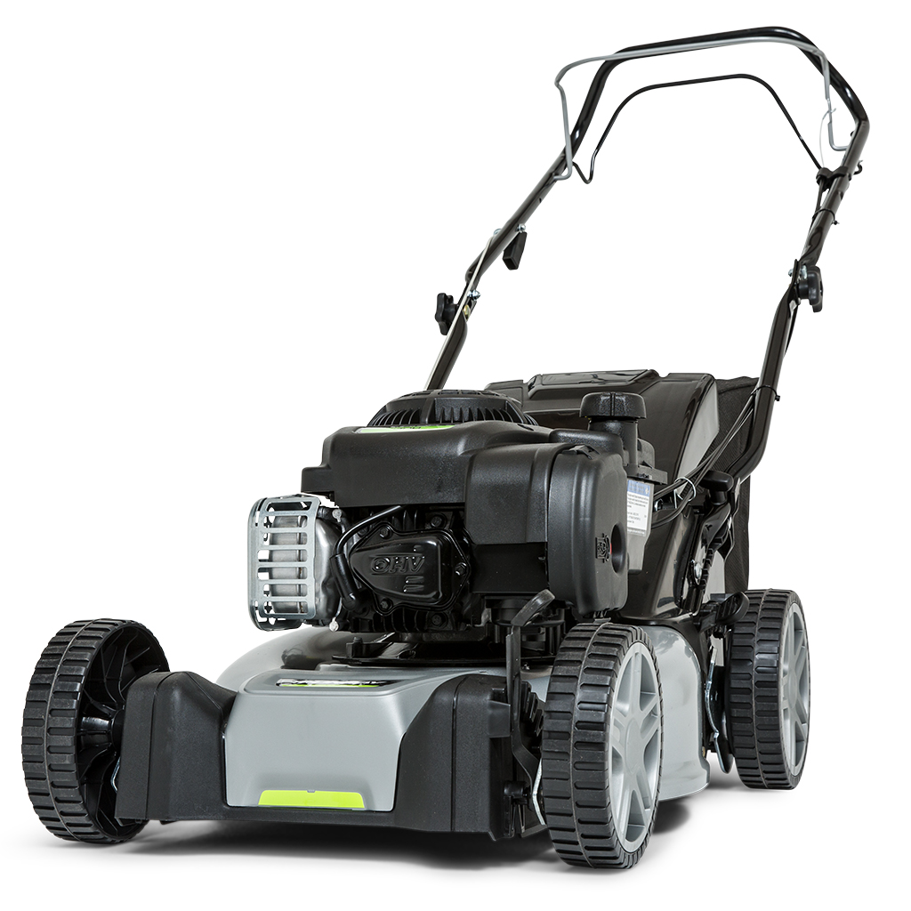 Briggs and best sale stratton 300